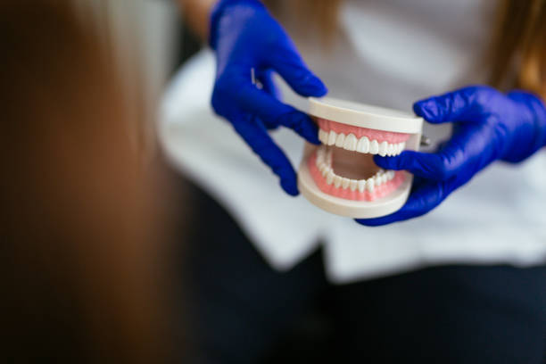 Trusted Port Angeles East, WA Dental Services Experts